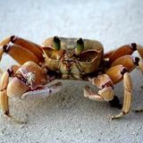 Leserfoto des Tages - August 2009 - Bild 20