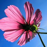 Leserfoto des Tages - August 2009 - Bild 21