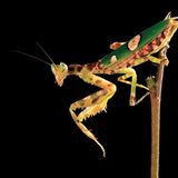 Fotogalerie: Fotogalerie: Wunder Regenwald