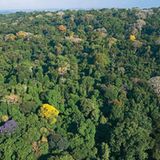 Fotogalerie: Fotogalerie: Wunder Regenwald - Bild 13