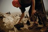 Fotoshow: Guano-Gewinnung in Peru
