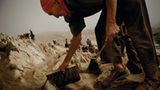 Fotoshow: Guano-Gewinnung in Peru