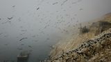 Fotoshow: Guano-Gewinnung in Peru - Bild 4