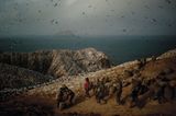Fotoshow: Guano-Gewinnung in Peru - Bild 6