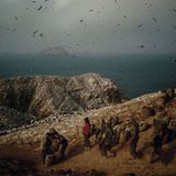 Fotoshow: Guano-Gewinnung in Peru - Bild 6