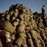 Fotoshow: Guano-Gewinnung in Peru - Bild 9