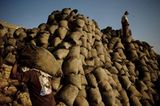 Fotoshow: Guano-Gewinnung in Peru - Bild 9