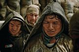 Fotoshow: Guano-Gewinnung in Peru - Bild 10