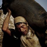 Fotoshow: Guano-Gewinnung in Peru - Bild 14