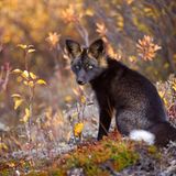 Leserfoto des Tages - September 2009