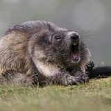 Leserfoto des Tages - September 2009 - Bild 2