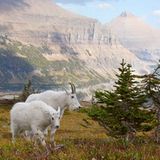 Leserfoto des Tages - September 2009 - Bild 4