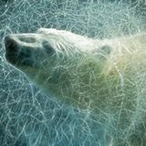 Leserfoto des Tages - September 2009 - Bild 5