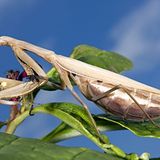 Leserfoto des Tages - September 2009 - Bild 7