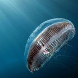 Leserfoto des Tages - September 2009 - Bild 8