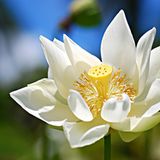 Leserfoto des Tages - September 2009 - Bild 10