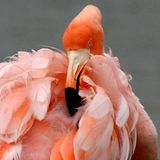 Leserfoto des Tages - September 2009 - Bild 11