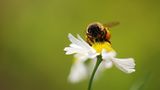 Leserfoto des Tages - September 2009 - Bild 17