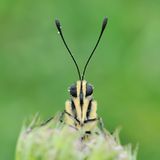 Leserfoto des Tages - September 2009 - Bild 19