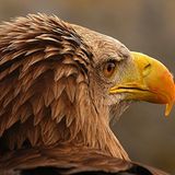 Leserfoto des Tages - September 2009 - Bild 22