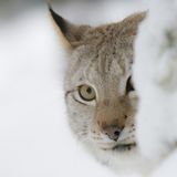 Internationales Naturfoto-Festival 2009 - Bild 2