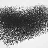 Internationales Naturfoto-Festival 2009 - Bild 3