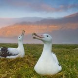 Internationales Naturfoto-Festival 2009 - Bild 6