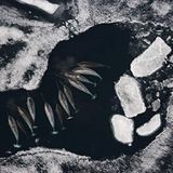 Internationales Naturfoto-Festival 2009 - Bild 11