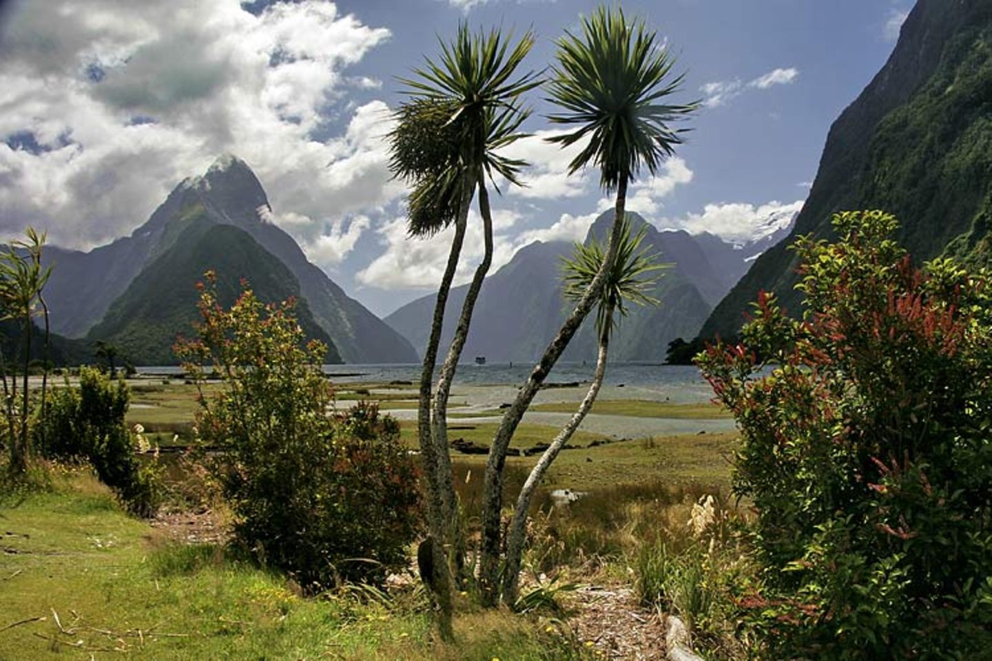 Neuseeland: Leserfotos aus Neuseeland - Bild 3