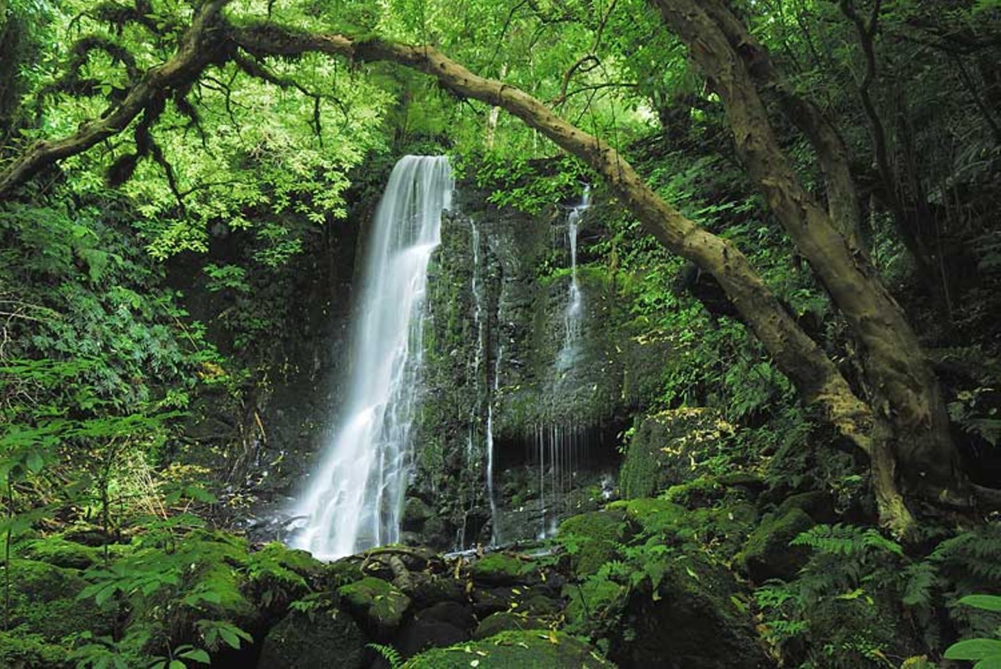 Neuseeland: Leserfotos aus Neuseeland - Bild 9