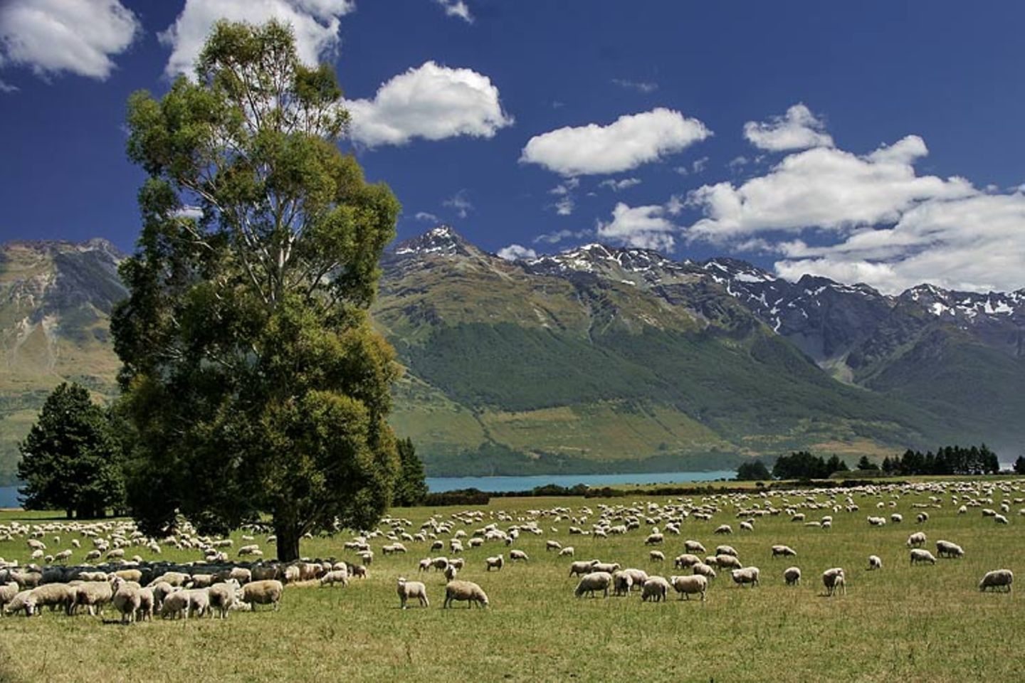 Neuseeland: Leserfotos aus Neuseeland - Bild 10