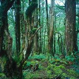 Wandern: Zu Fuß um die Welt - Bild 11