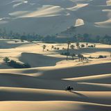 Interview: Wüsten-Experte Michael Martin - Bild 5