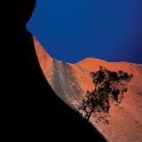 Interview: Wüsten-Experte Michael Martin - Bild 8