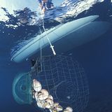 Fotoshow: Nautilus - Bild 7