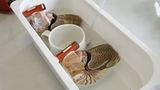 Fotoshow: Nautilus - Bild 8