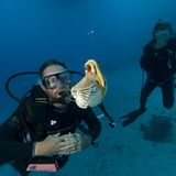 Fotoshow: Nautilus - Bild 9