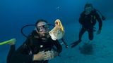 Fotoshow: Nautilus - Bild 9