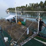 Fotoshow: Nautilus - Bild 10