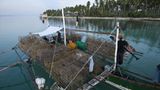Fotoshow: Nautilus - Bild 10
