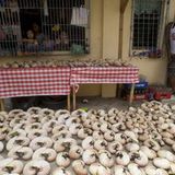 Fotoshow: Nautilus - Bild 11