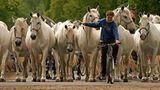 Fotogalerie: Tschechien - Bild 6