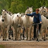 Fotogalerie: Tschechien - Bild 6