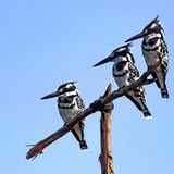 Leserfoto des Tages - Oktober 2009 - Bild 2