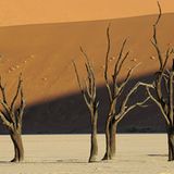 Leserfoto des Tages - Oktober 2009 - Bild 3