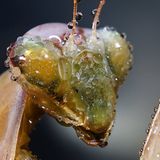 Leserfoto des Tages - Oktober 2009 - Bild 5