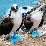 Leserfoto des Tages - Oktober 2009 - Bild 6