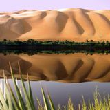 Leserfoto des Tages - Oktober 2009 - Bild 7