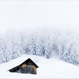 Leserfoto des Tages - Oktober 2009 - Bild 8