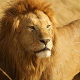 Leserfoto des Tages - Oktober 2009 - Bild 9